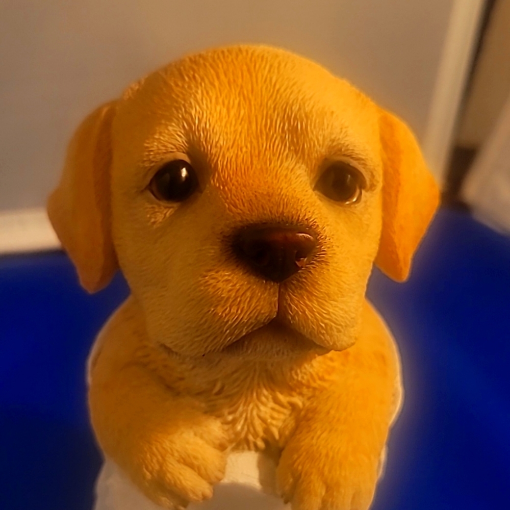 Puppy  statues